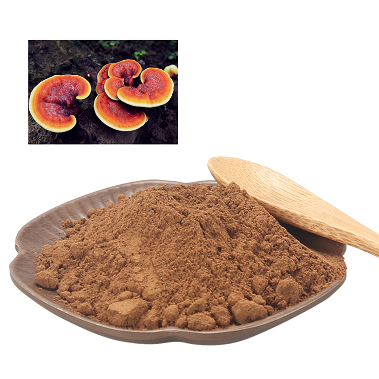Certified Organic Ganoderma Lucidum Powder: Tested & Trusted